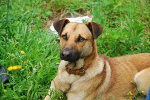 167538_1270348055153_1622178_n